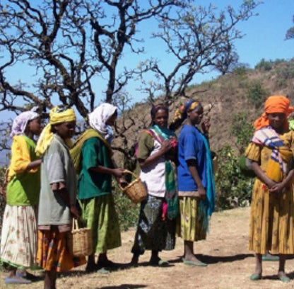 Ethiopia Harar Mesela